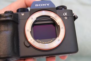 Sony a9 Mirrorless Camera [Mint Condition] [1k SC]