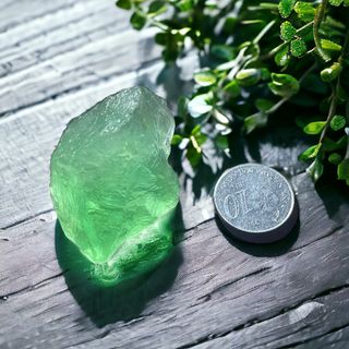 (Category: ) located in . Submitted by rainalis (Listing ID 1300398380, Image 1). Description: .