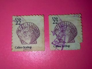 (1985) [TAKE ALL x2] Purple Calico Scallop Seashell Series Clam 22 Cents Postage Stamp Set Collectible Vintage Old Print United States of America USA Collector Stamps Prints Collection