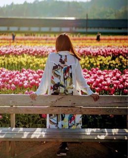 （分類：）位於 。 由 luvalpaca 提交（商品編號 1300465610，圖片 1）。簡介： 。