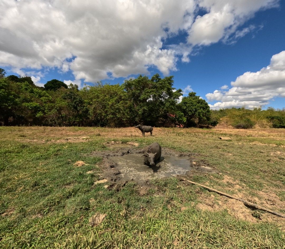 Farm Land for Sale (Category: Lot) located in Mandaluyong City. Submitted by miss_anny (Listing ID 1300452981, Image 1). Description: Looking for INVESTMENT? Farm Land? Rental Property? Resort? Next Adventure Place? Total land size: 5,000sqm 1,000 sqm minimum with water connection, clean title, paid property taxes, direct owner near Palo Alto, Baras/Marilaque Highway Agents/Brokers Comms: 10% 3,500 per sqm PM is the 🗝️.