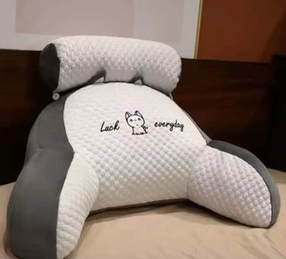Pillow with Arms