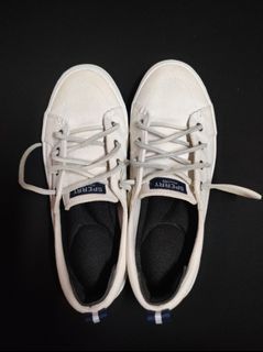Sperry  Canvas