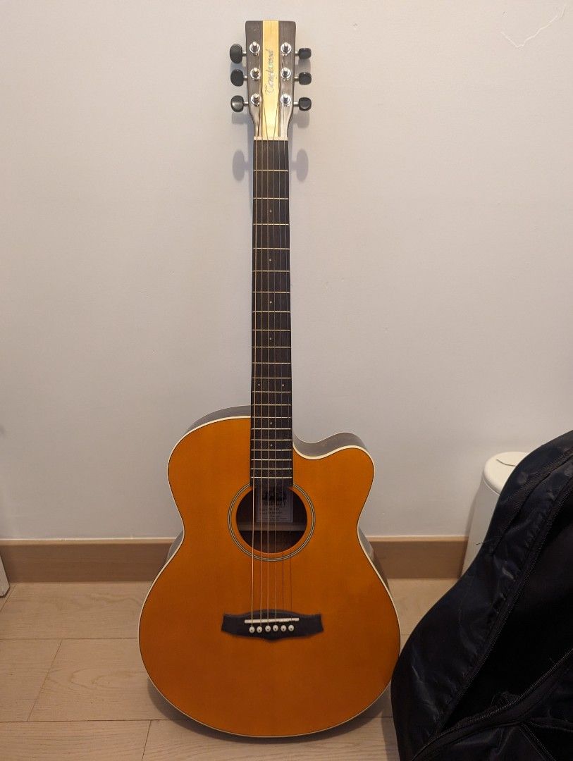 Tanglewood tn5 on sale