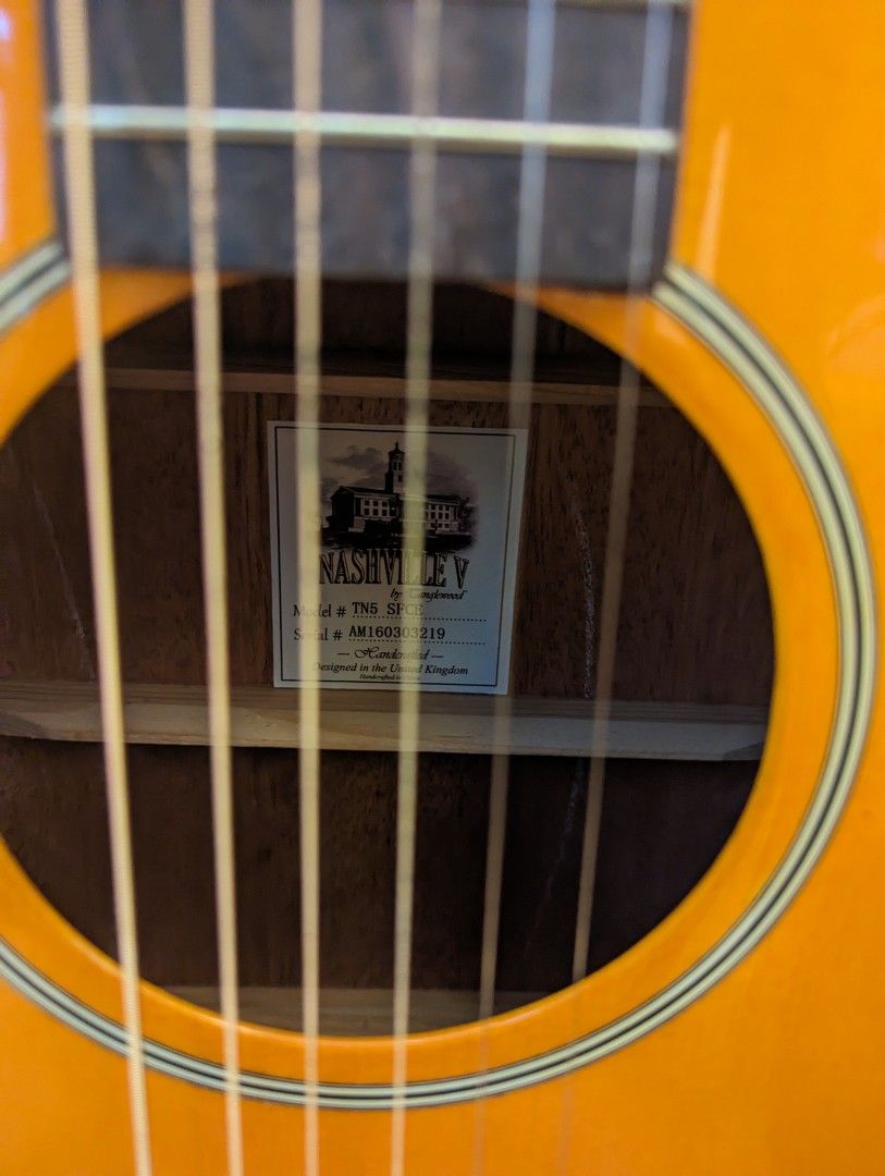 Tanglewood tn5 2025