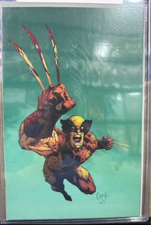 Wolverine #37 Variant