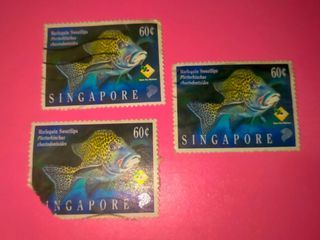 (1995) [TAKE ALL x3] Singapore Harlequin Sweetlips Plectorhinchus chaetodontoides 60 Cent Stamp Sea Aquatic Fish Series Collectible Vintage Old Print Stamps Asian Singaporean Collector Asia Retro Postage Collection