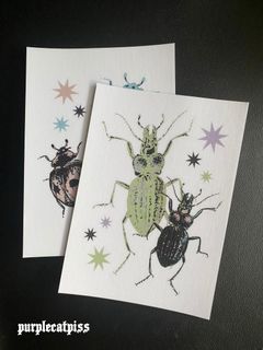 beetle and ladybug art print