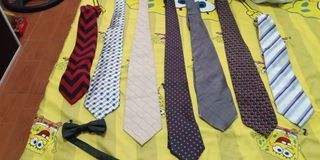 Bundle neckties for men bowtie free