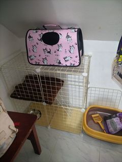 Cat cage