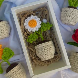 Crochet Daisy Pot