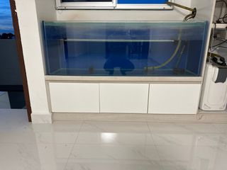 (Category: ) located in . Submitted by ng.sianglong (Listing ID 1300712702, Image 1). Description: .