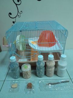 (Category: ) located in . Submitted by sg1028 (Listing ID 1300736091, Image 1). Description: .