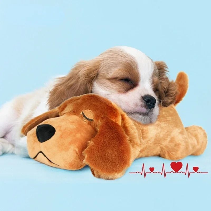 IFOYO Pet Heartbeat Puppy Behavioral Training Dog Plush Pet Comfortable Snuggle Anxiety Relief Sleep Aid Doll Durable Drop ship Carousell