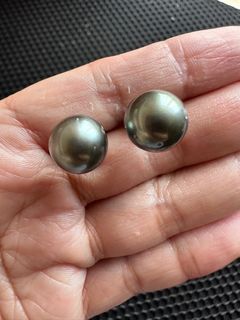 tahitian black south sea pearl earrings 14k white gold