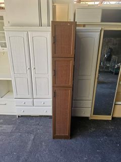 3 Door Slim Cabinet