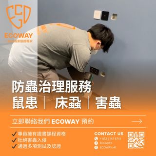 裝修後清潔｜除甲醛服務｜防蟲治理服務 Collection item 1