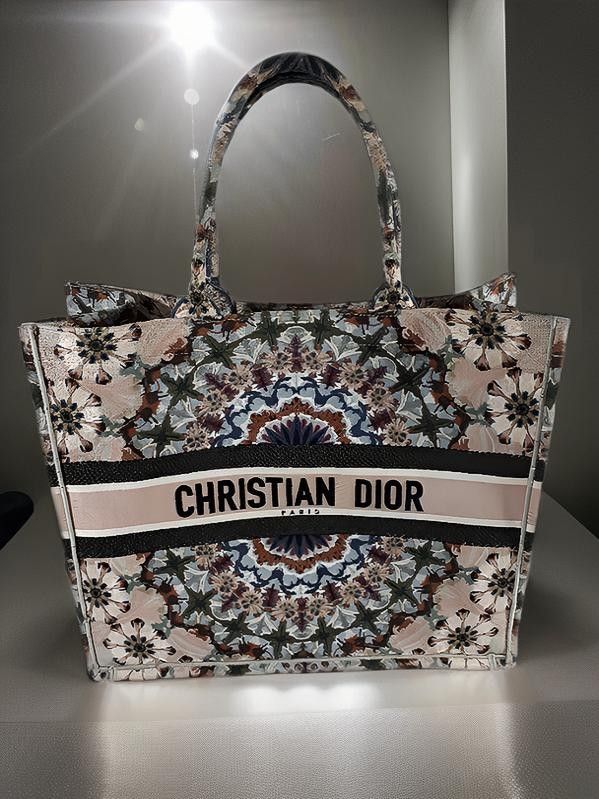 Dior canvas tas 2025
