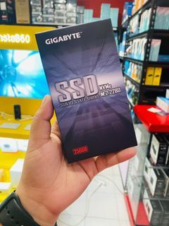 ✅✅Gigabyte 256GB M.2 NVMe 2280 SSD PCIe x4 GP-GSM2NE3256GNTD