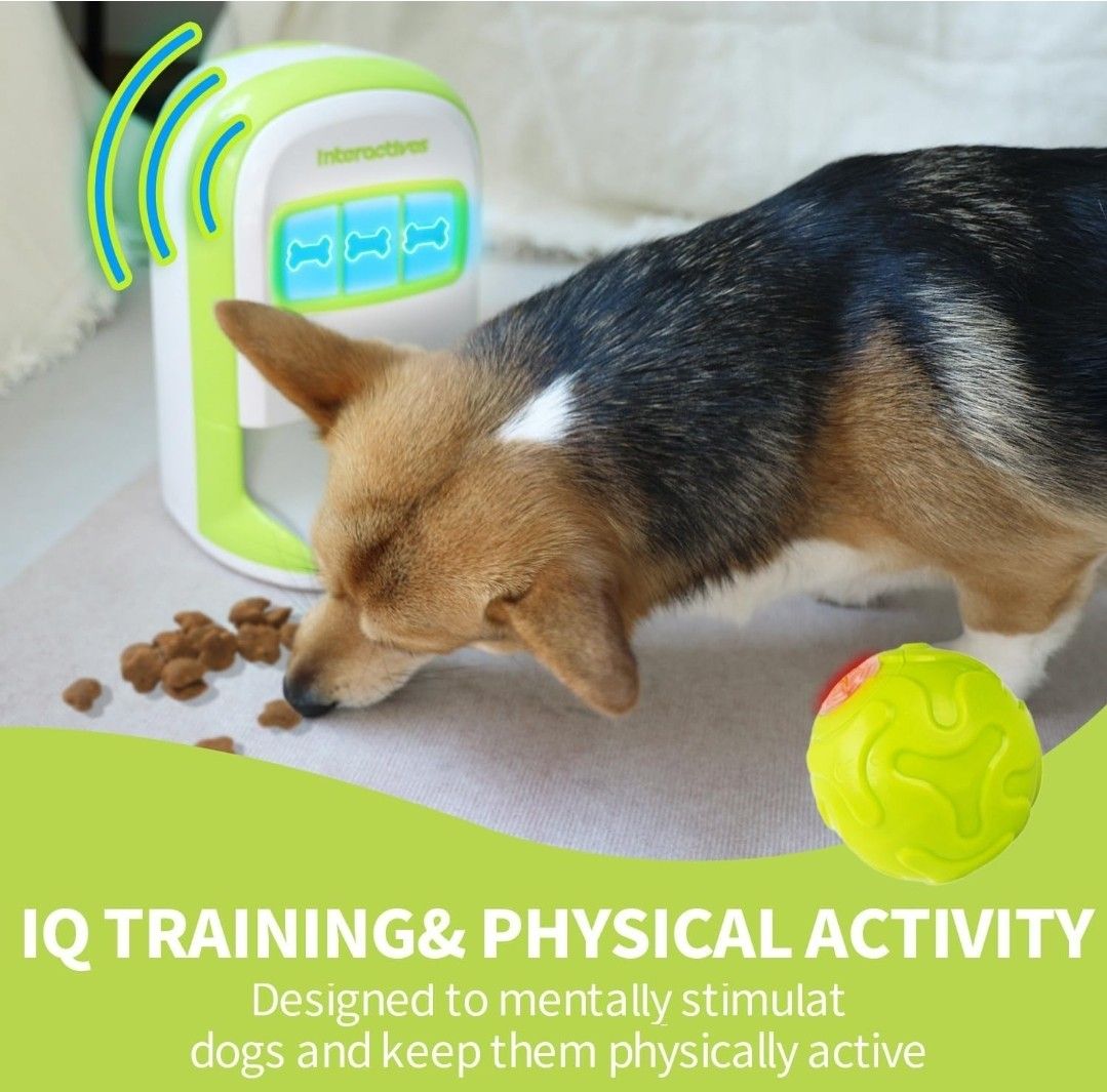 Automated dog toys best sale