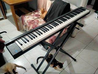 Digital Piano and Accessories