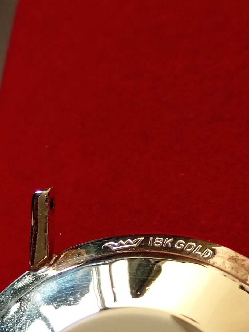 Solid gold watch case online