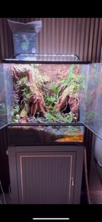 (Category: ) located in . Submitted by amos.yun (Listing ID 1296553950, Image 1). Description: .