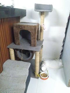 3 Layer Cat Tower