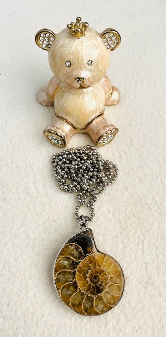Ammonite Fossil Necklace (Category: Necklaces) located in Iloilo. Submitted by yangfire (Listing ID 1300779616, Image 2). Description: What you see in the picture is what you can get 🧿.