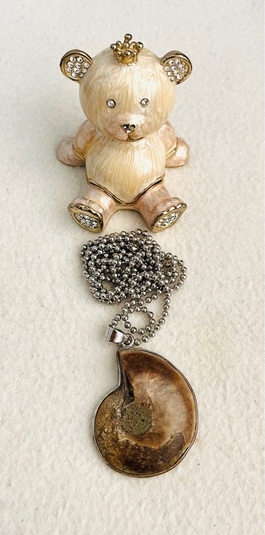 Ammonite Fossil Necklace (Category: Necklaces) located in Iloilo. Submitted by yangfire (Listing ID 1300779616, Image 3). Description: What you see in the picture is what you can get 🧿.