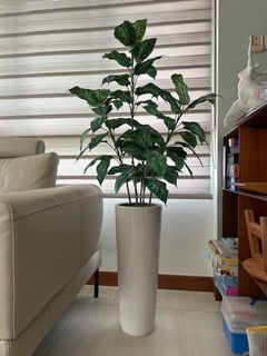 (Category: ) located in . Submitted by chris_bedok (Listing ID 1300842444, Image 1). Description: .