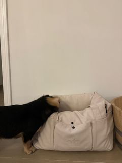 （分類：）位於 。 由 ngaml 提交（商品編號 1300877879，圖片 1）。簡介： 。