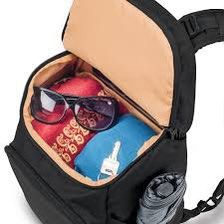 Pacsafe Anti theft Citysafe CS350 Backpack