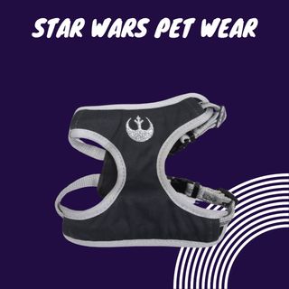 (Category: ) located in . Submitted by lemonoranges. (Listing ID 1300809416, Image 1). Description: .