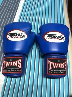 Twins Boxing/ Muay Thai Gloves