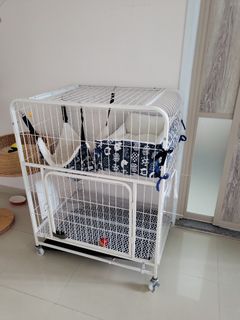 （分類：）位於 。 由 rarecloud_8174c0 提交（商品編號 1296571149，圖片 1）。簡介： 。