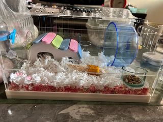 由 wt_lin (刊登 ID 1296724560，圖片 1) 提交，位於 的 (類別：)，說明：。