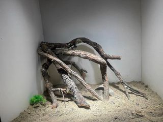 （分類：）位於 。 由 tsoila 提交（商品編號 1296696349，圖片 1）。簡介： 。