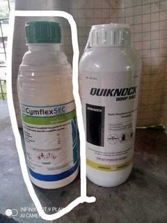 anti ipis / surot/ garapata/ also avilable on call pest control