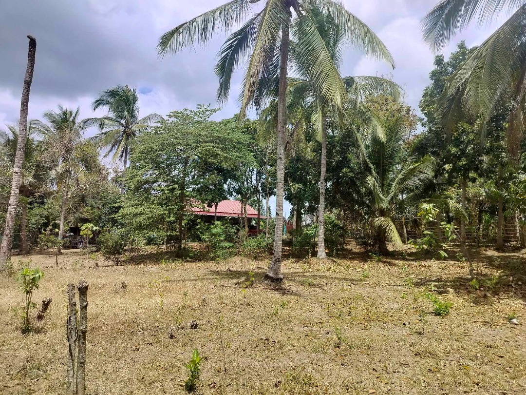 Farm lot for sale in Amadeo Cavite, Property, For Sale, Lot on Carousell