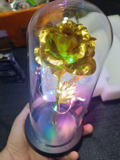 Galaxy Rose in Glass Dome Led Enchanted Flower