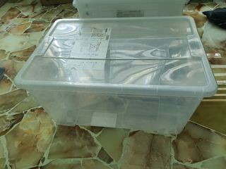 (Category: ) located in . Submitted by hakim1107 (Listing ID 1296608252, Image 1). Description: .