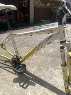 Specialized 17” bike frame only
