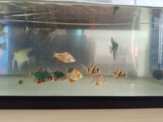 (Category: ) located in . Submitted by sbibeau (Listing ID 1296596328, Image 1). Description: .