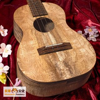 （分類：）位於 。 由 monocerosacademy 提交（商品編號 1296717224，圖片 1）。簡介： 。