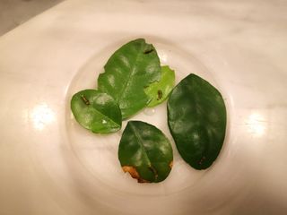 （分類：）位於 。 由 jy_chan 提交（商品編號 1296816169，圖片 1）。簡介： 。