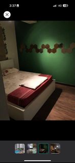 (Category: ) located in . Submitted by ferbiey (Listing ID 1296798603, Image 1). Description: .
