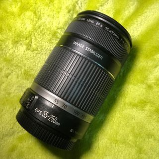 Canon Zoom Lens EF-S 55-250mm IS