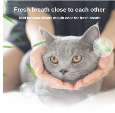 Kitten toothbrush and toothpaste store