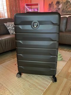 Delsey Paris Air Armour  Luggage Bag (L)